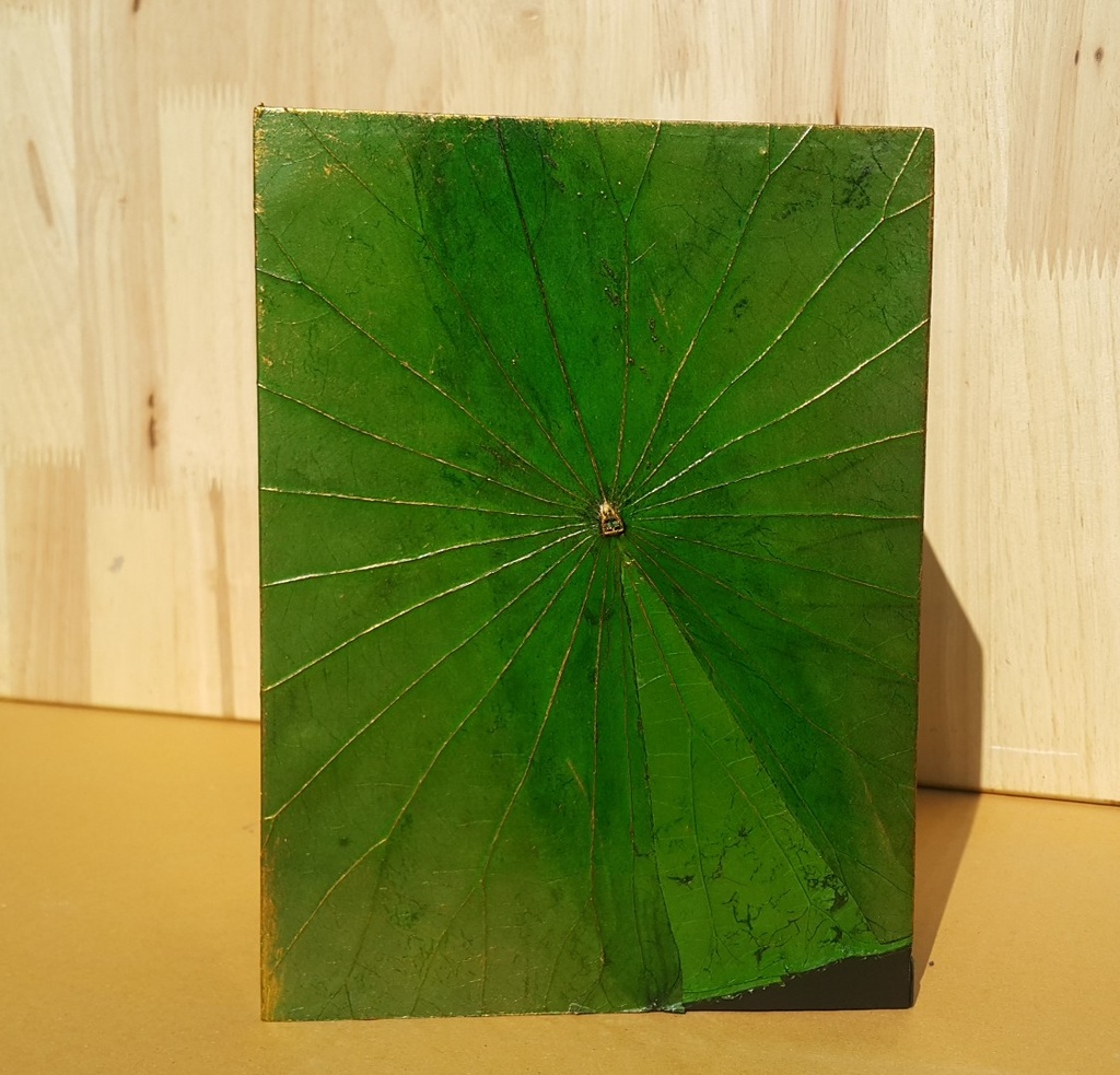 Lotus Leaf Medium 109 ci - Green