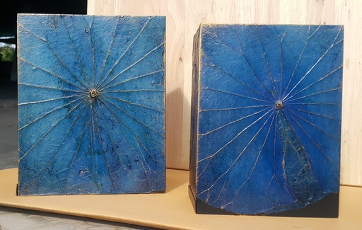 Lotus Leaf Medium 109 ci - Blue